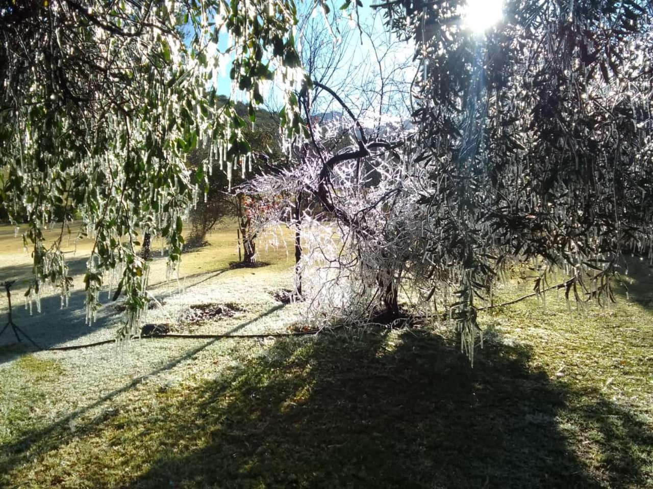 De Cango Farm Oudtshoorn Bagian luar foto